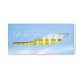 YellowRadiance Light Wave Series ampoules